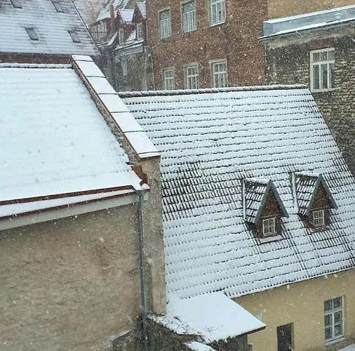 Hostel Imaginary (adults Only)