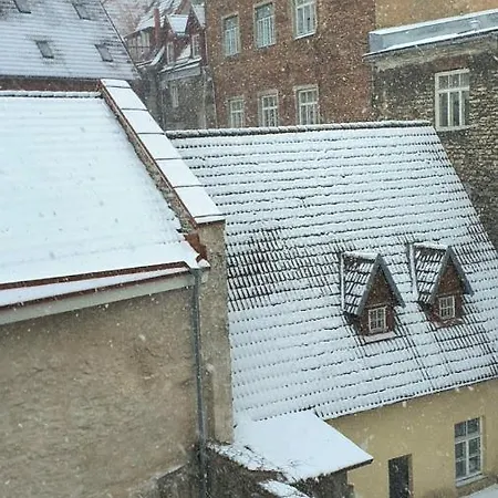 Hostel Imaginary (adults Only)